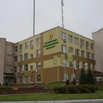 НЗМП