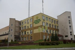НЗМП